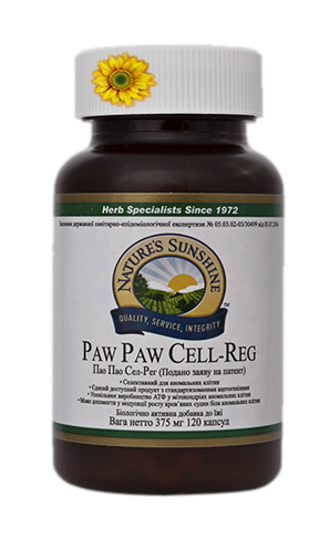 Paw Paw NSP
