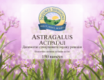 Astragalus (Астрагал) 1