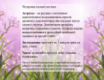 Astragalus (Астрагал) 2